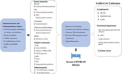 Immunopathology and Immunosenescence, the Immunological Key Words of Severe COVID-19. Is There a Role for Stem Cell Transplantation?